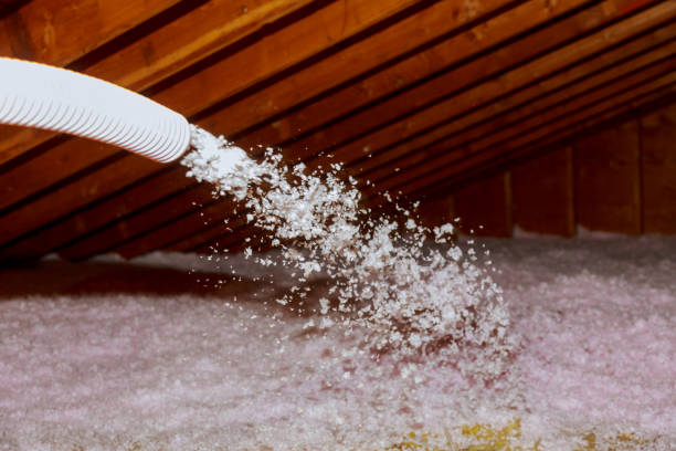 Best Insulation for Commercial Buildings  in Barrett, TX