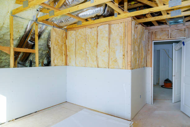 Best Cellulose Insulation  in Barrett, TX
