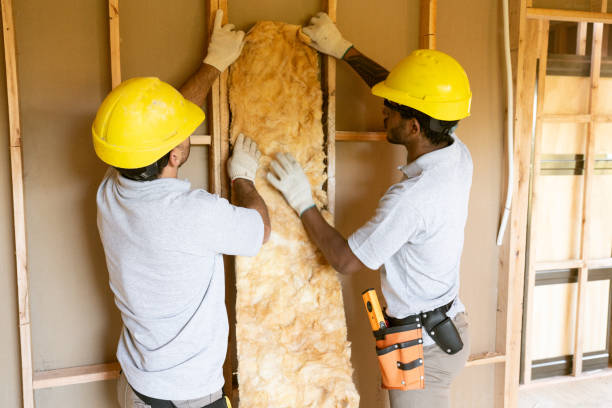 Best Wall Insulation Contractor  in Barrett, TX