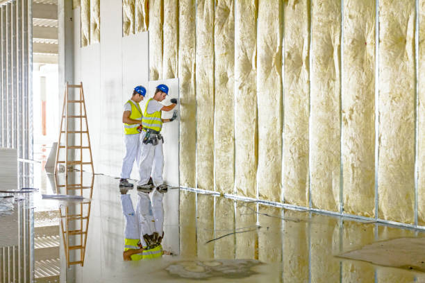 Best Fiberglass Insulation  in Barrett, TX